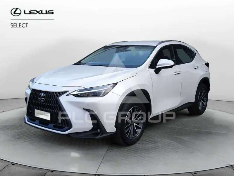 2025 Lexus NX250