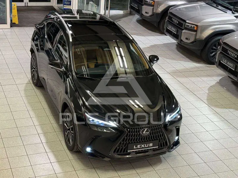 2025 Lexus NX250