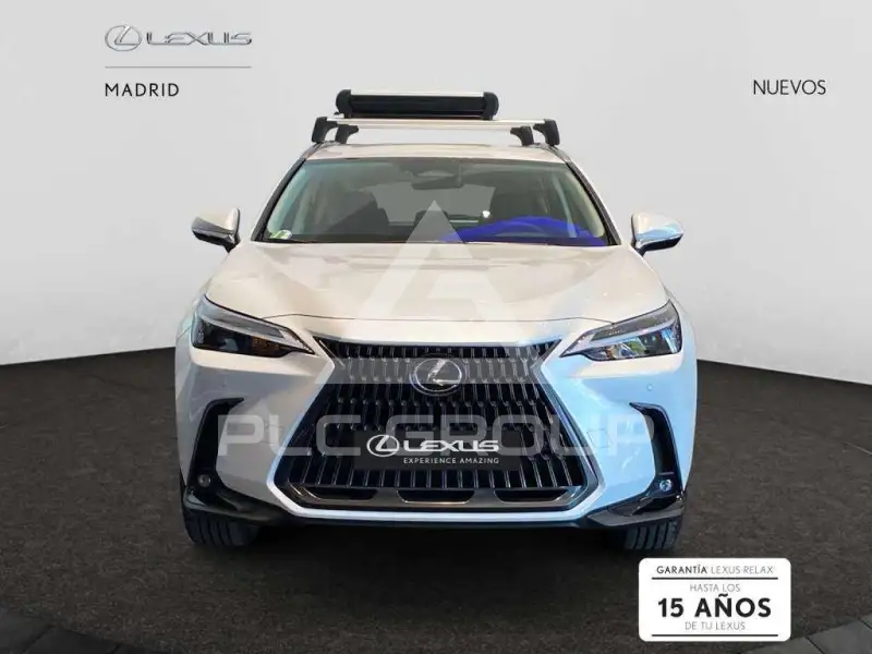 2025 Lexus NX250