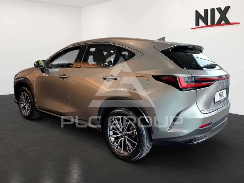 2025 Lexus NX250