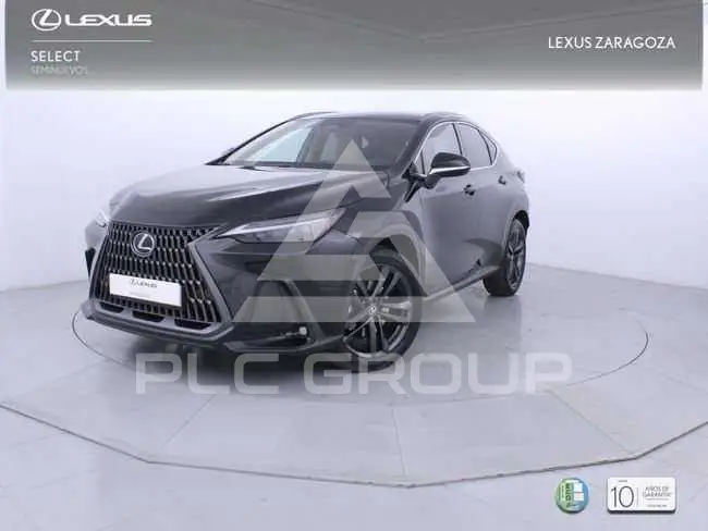 2025 Lexus NX250