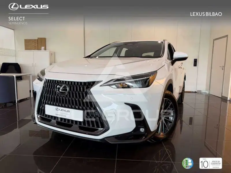 2025 Lexus NX250
