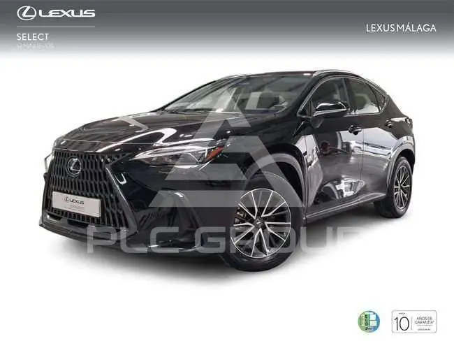 2025 Lexus NX250