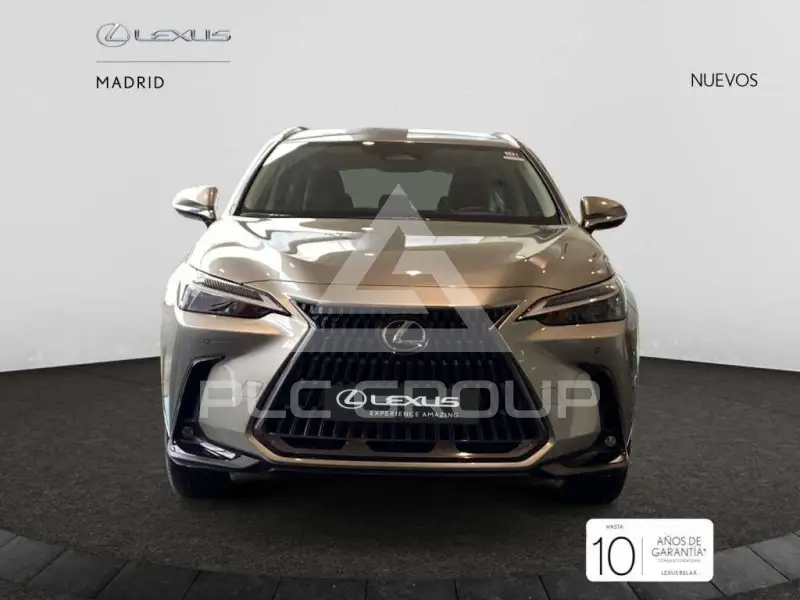 2025 Lexus NX250