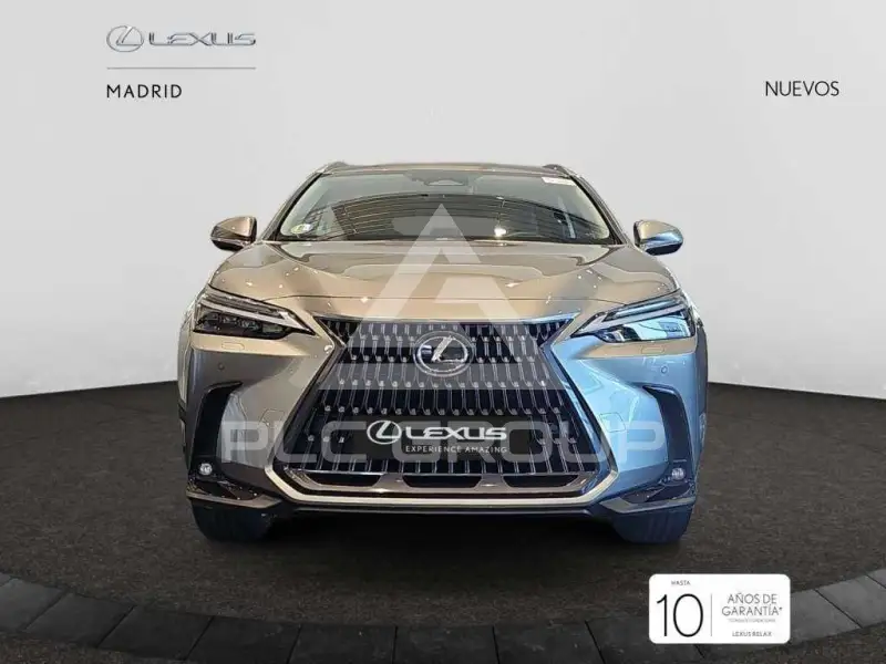 2025 Lexus NX250