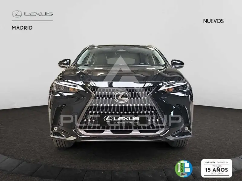 2025 Lexus NX250