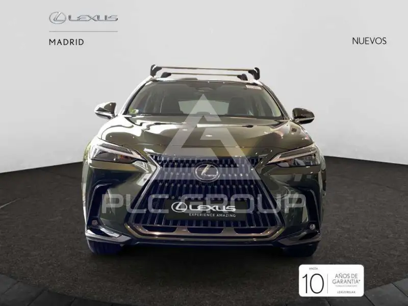 2025 Lexus NX250