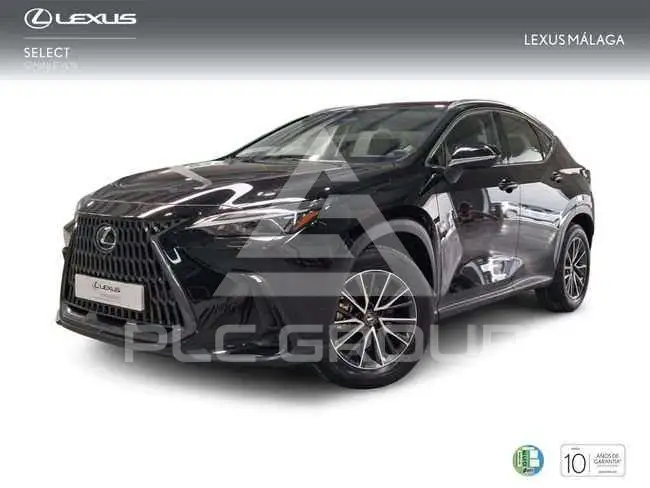 2025 Lexus NX250