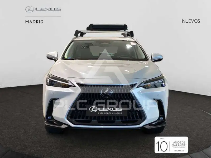 2025 Lexus NX250