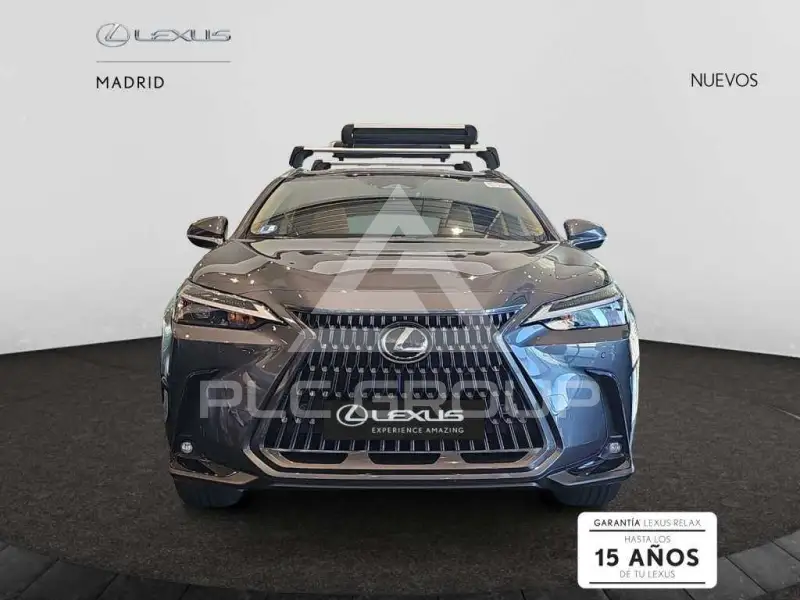 2025 Lexus NX450