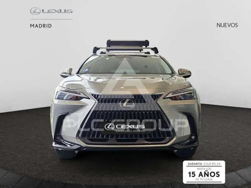 2025 Lexus NX450