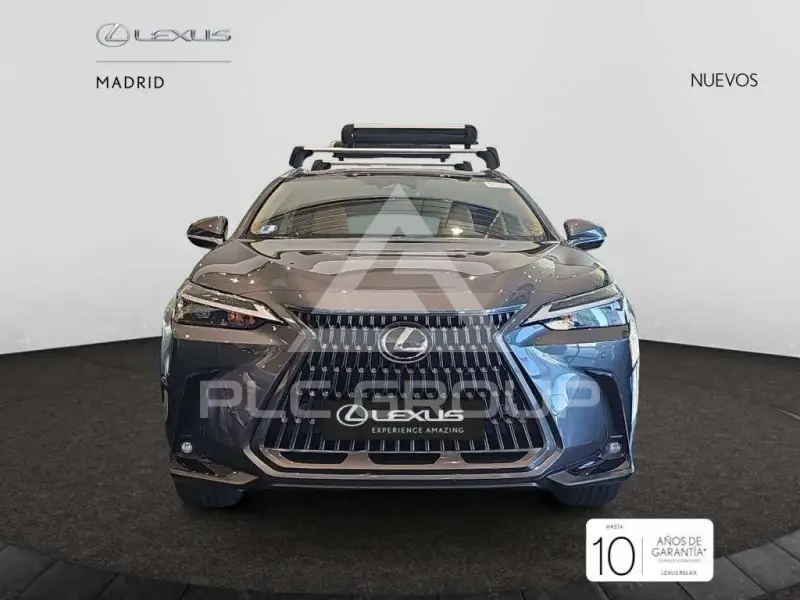 2025 Lexus NX450