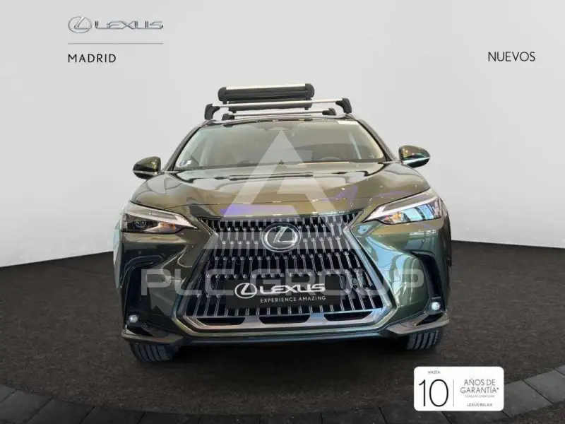 2025 Lexus NX450