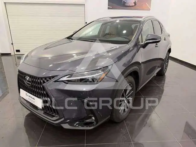2025 Lexus NX450