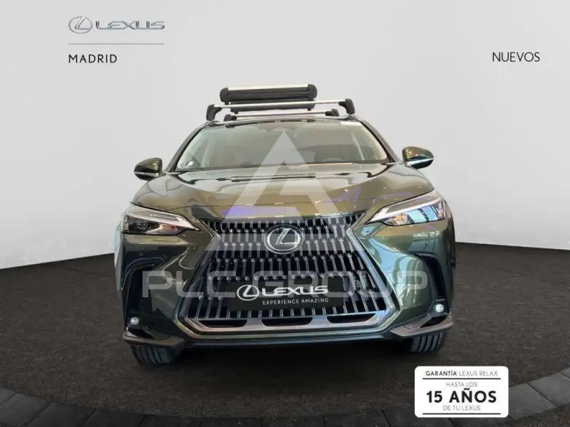 2025 Lexus NX450
