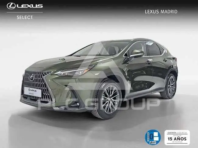 2025 Lexus NX450