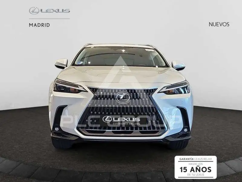 2025 Lexus NX450