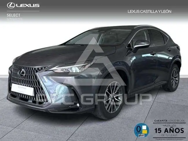 2025 Lexus NX450