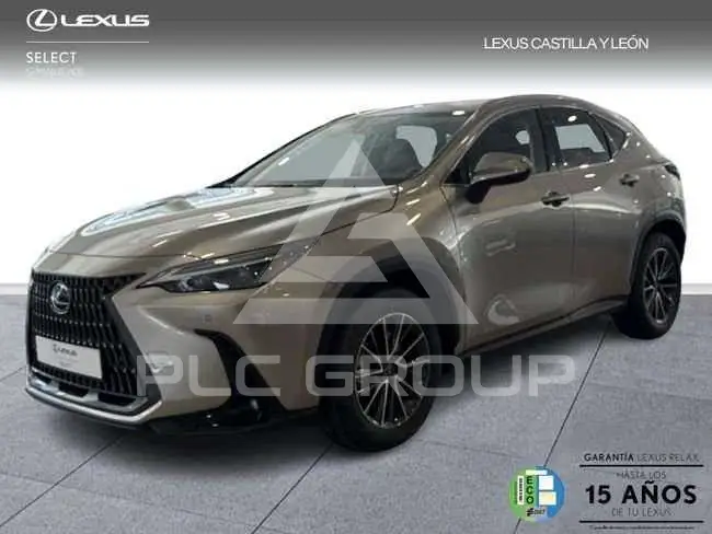 2025 Lexus NX450