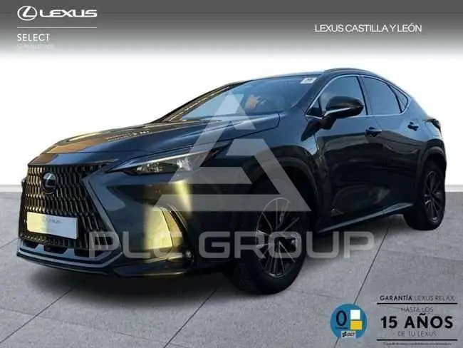 2025 Lexus NX450