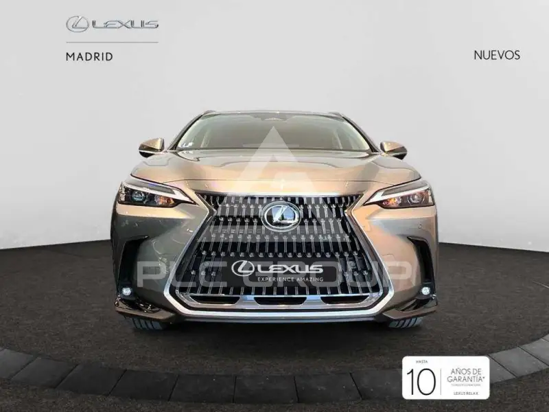 2025 Lexus NX450