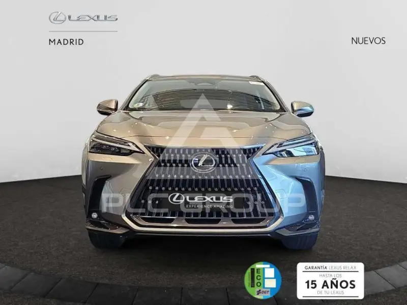 2025 Lexus NX450