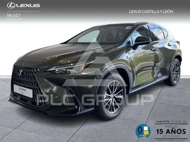 2025 Lexus NX450