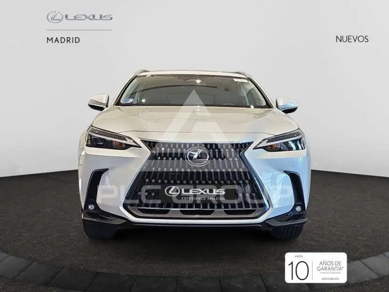 2025 Lexus NX450