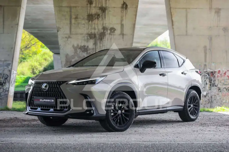 2025 Lexus NX450