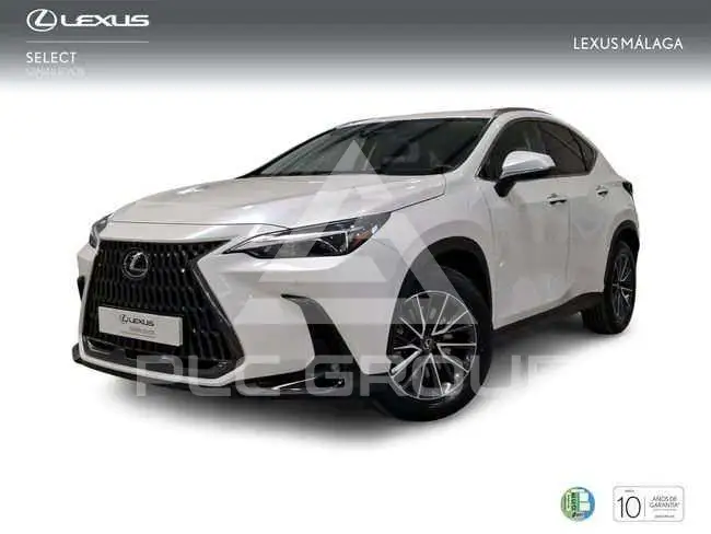2025 Lexus NX450