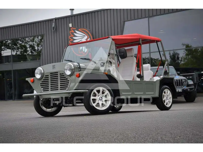 2025 Mini Unknown