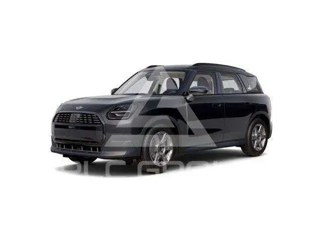 2025 Mini Unknown