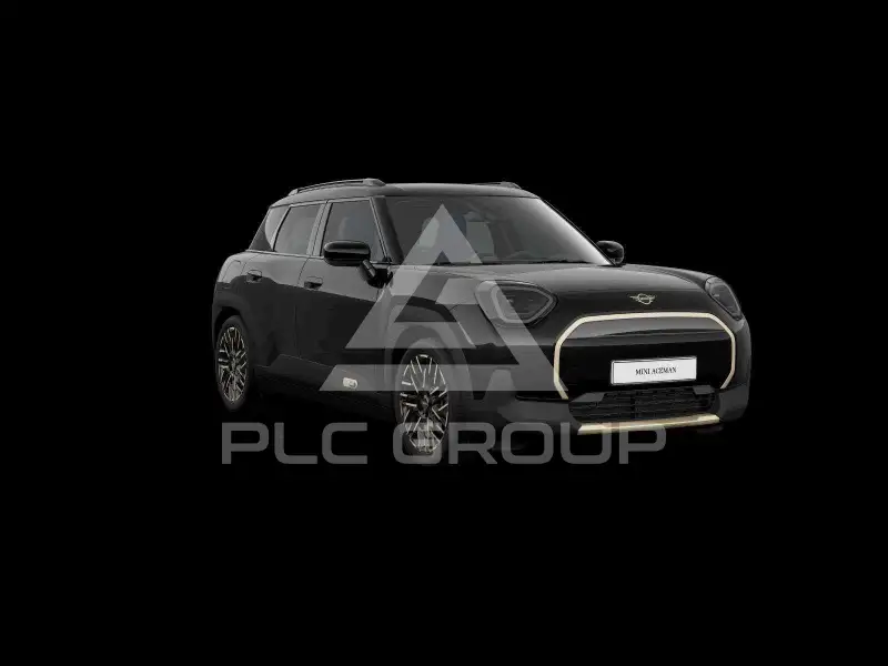 2025 Mini Paceman