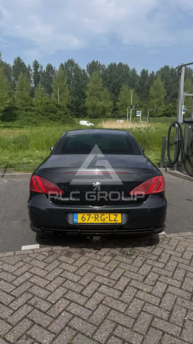 2025 Peugeot 307