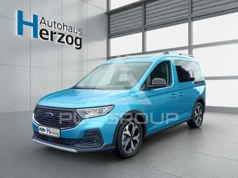 2025 Ford Tourneo