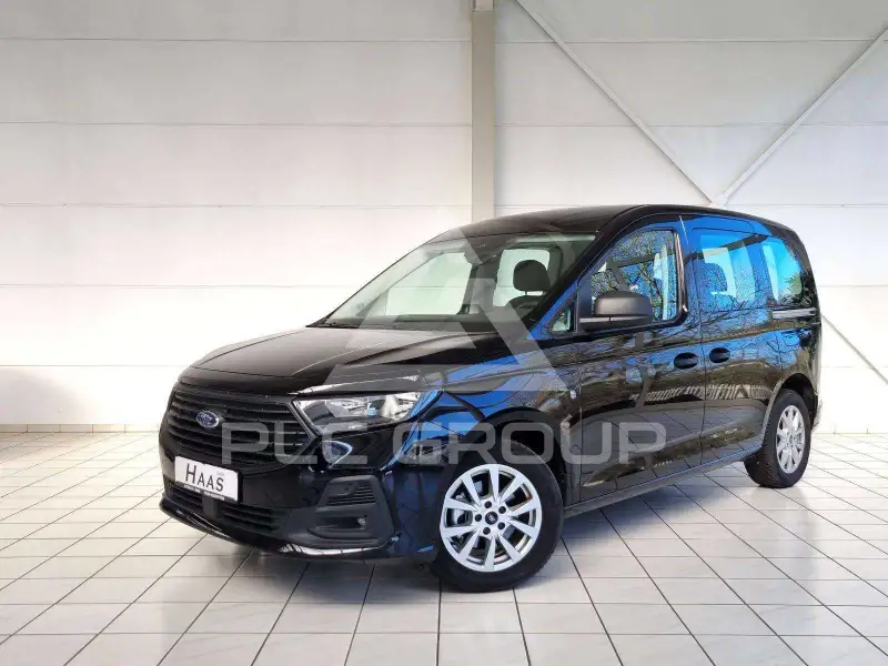 2025 Ford Tourneo