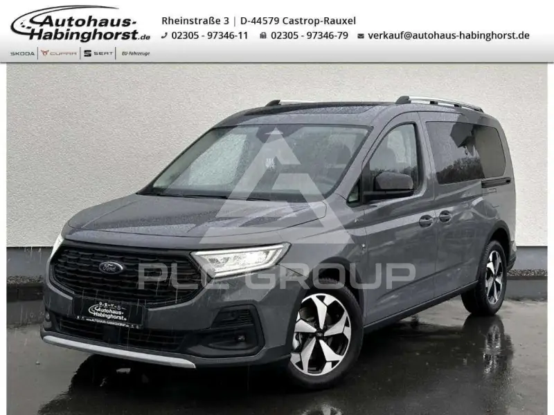 2025 Ford Tourneo