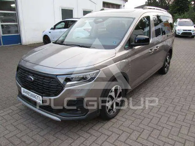 2025 Ford Tourneo