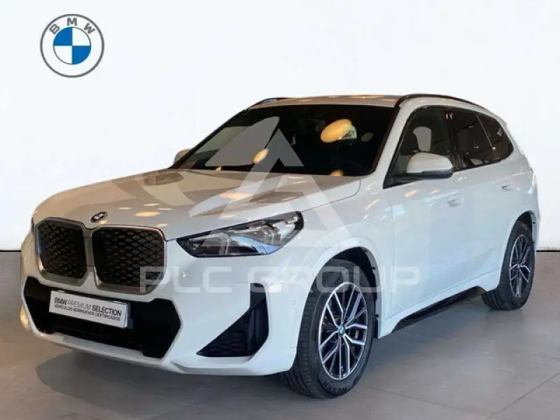 2026 BMW iX
