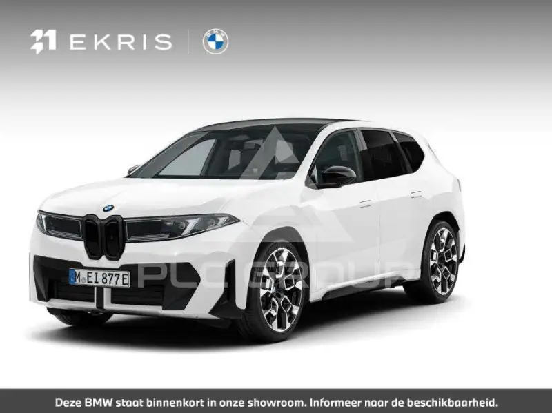 2026 BMW iX