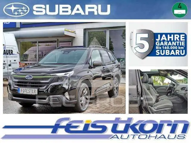 2026 Subaru Forester