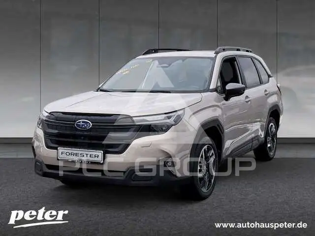 2026 Subaru Forester