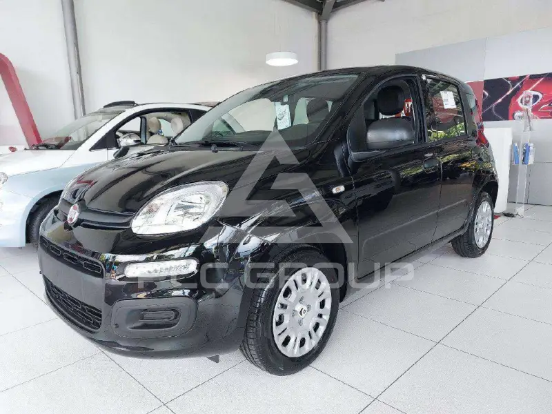 2026 Fiat Unknown