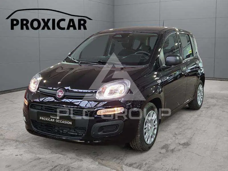 2026 Fiat Panda