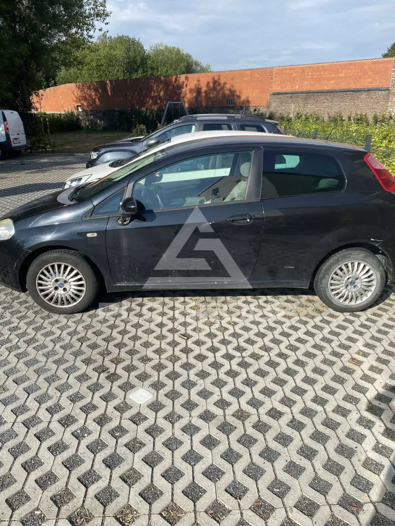 2026 Fiat Punto