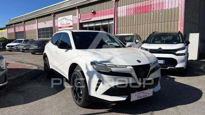 2026 Alfa Romeo Other