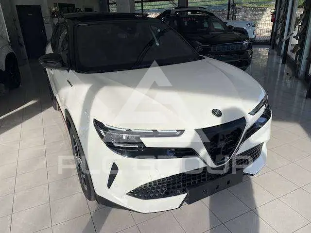 2026 Alfa Romeo Other
