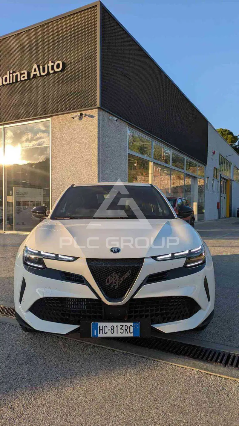 2026 Alfa Romeo Other