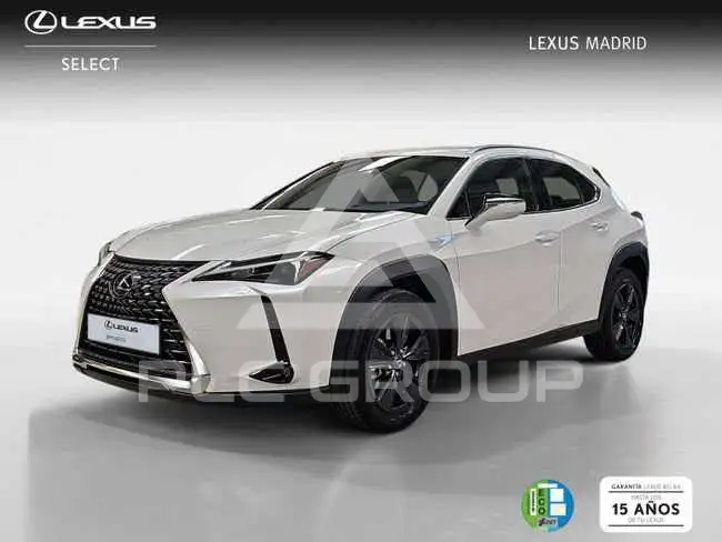 2026 Lexus UX