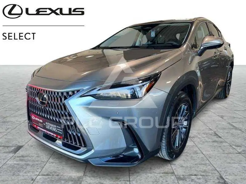 2026 Lexus NX250